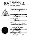 St Petersburg FL Dog Training Club Certificate of Completion