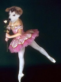 Moya the ballerina