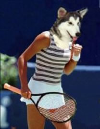 Holly's head on the body of a tennis star