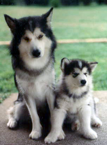 Penny and her young son shadow