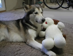 Me & My BIG toy (stuffed dog)