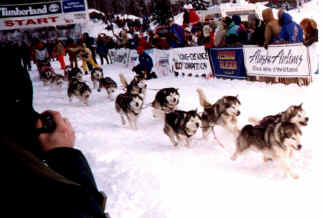 Storm Kloud Kennels, Sussex, WI  53089