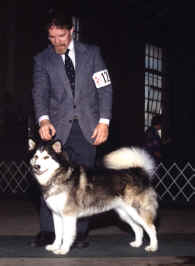 John Swire and Penny at a dog show